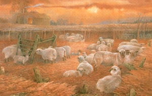 HAMPSHIRE DOWN SHEEP IN LAMBING YARD * PRINT OF A PAINTING BY BENINGFIELD - Picture 1 of 2