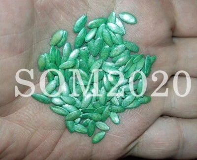 Cucumber seeds,40 cucumber MASHA F1 parthenocarpic Netherlands SW1091+TRACK № - Image 1 of 4