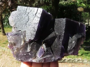 Minerali *** GRANDI CUBI di FLUORITE VIOLA Tennessee - Imagen 1 de 3