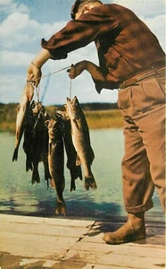 Postal Walleye Pike Fisherman de la región de los Grandes Lagos - Imagen 1 de 2