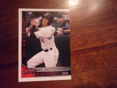 Bowie Baysox 2015 con elección de actualización cartas individuales de ligas menores tú eliges obo Foto 1 de 2
