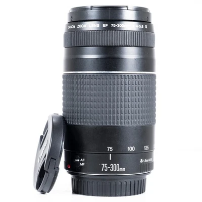 Canon 75-300mm F/4.0-5.6 III Full Frame Auto Focus EF Mount Telephoto Zoom Lens - Image 1 of 4