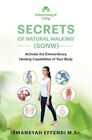 Secrets of Natural Walking (SONW): Activate the Extraordinary Healing Capabil...