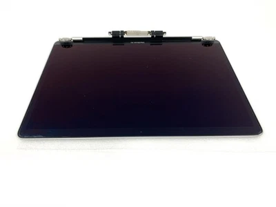 Apple MacBook Air A2179 conjunto de tela prata 661-15390 grau C - Imagem 1 de 4