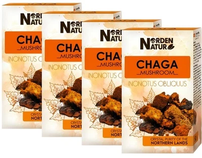 Birkenporling Chaga 4 x 50 g Schiefer Schillerporling Norden Natur Tschaga Чага - Bild 1 von 4