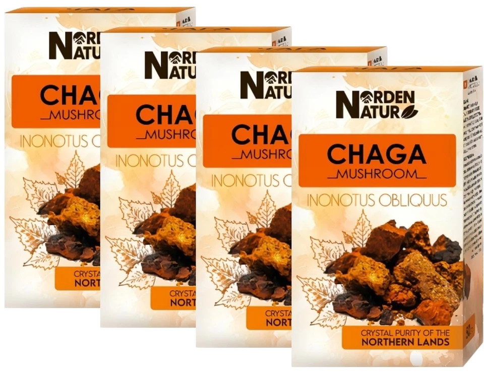 Birkenporling Chaga 4 x 50 g Schiefer Schillerporling Norden Natur Tschaga Чага - Bild 1 von 4