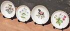Collection Of 4 Decorative Miniature Plates   Wedgwood Minton