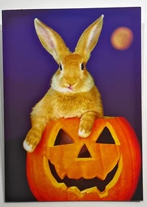 Avanti Halloween Greeting Card - Happy Halloween - Picture 1 of 71