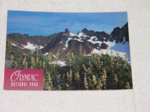 Olympic National Park Washington Mt. Anderson Post Card - Picture 1 of 4