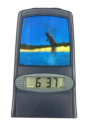 Dolphin Alarm/Desk Clock 3D Plays Dolphin Noise On Alarm Thoughtworks Ltd Cover