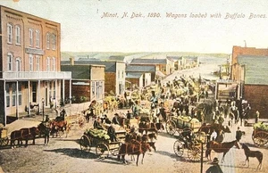1908 Postcard - Wagons Of Buffalo Bones In 1890's - Minot, North Dakota. #-7747 - Picture 1 of 17