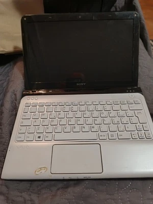 Sony Vaio Sve1113M - Immagine 1 di 4