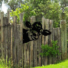 Metal Peeping Cow Outdoor Garden Statues Ornaments Farm Yard Wall Tree Pendant