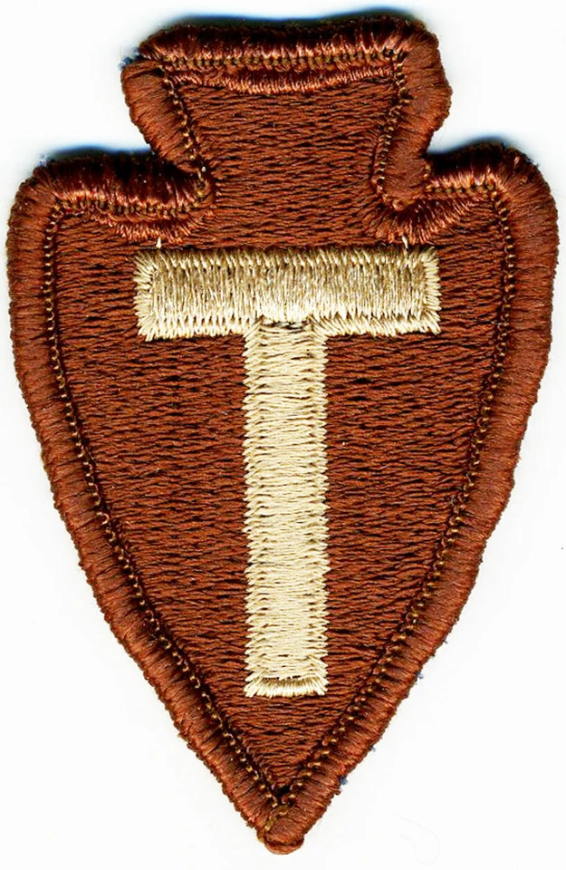 US Army Patch: 36th Infantry Division Texas National Guard Desert DCU reversed - Image 1 of 1