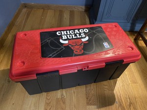 michael jordan shoes ebay