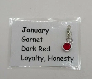 Made With Swarovski Crystal Birthstone Channel Charm; January; Silver Plated - Picture 1 of 3