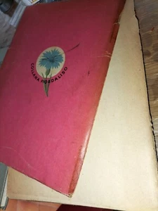 Pattini d'argento - Foto 1 di 6