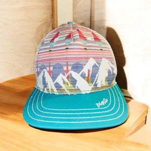Pistil McKinley Unisex SnapBack Hat Colorful Mountains NWOT - Picture 1 of 6