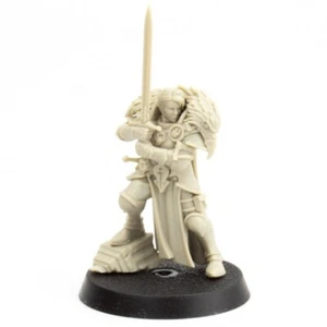 Capitana Emelda Braskov Cursed City Hero Warhammer Ciudades de Sigmar Paladin D&D - Imagen 1 de 2