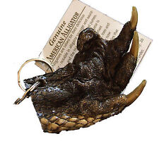 Alligator Claw Foot Paw Key Ring Real Gator Swamp Magic Voodoo New Orleans