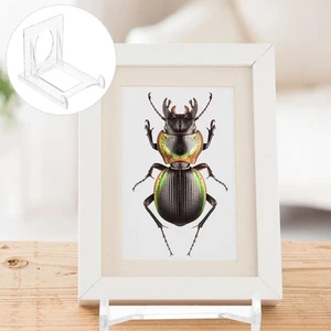 5 Pcs Multifunctional Stands Acrylic Display Photo Card Clear for Rack - Picture 1 of 12