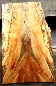 Curly spalted ink line ambrosia maple drop top .30" thk bass guitar luthier 2194 - Picture 1 of 12
