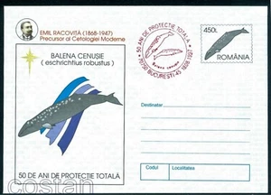 1997 Grauwal, ProtectionRacovita, rot, Racovita, Rumänien, spezielle Abdeckung/5/78 - Bild 1 von 1