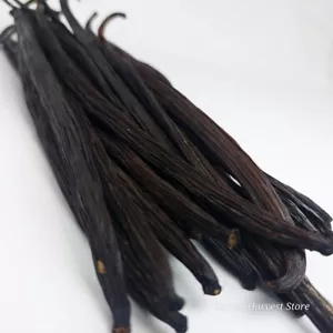 Ceylon Grade A Vanilla Beans 40 Pods Pure 100% Extraction Quality for Baking - Picture 1 of 7