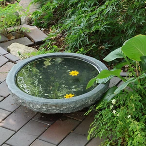 Vogeltränke Granit grau Vogelbad Naturstein Garten Wasserstelle Handarbeit Ø46cm - Bild 1 von 11