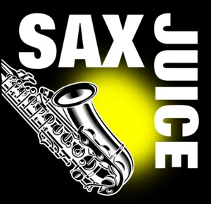 PREMIUM SAXOPHON SCHLÜSSEL ÖL von Regal Music Co. Hergestellt in den USA KOSTENLOSER VERSAND - Bild 1 von 4