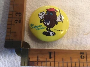 1988 CALIFORNIA RAISEN FIGURE  PIN Calrab - Picture 1 of 2