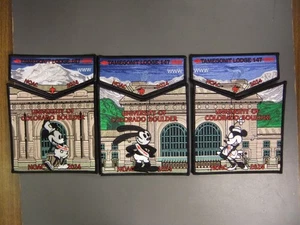 Boy Scout OA 147 Tamegonit lot 8190OO - Picture 1 of 1