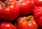 Many Types of Large Red Tomatoes - 50 Seeds - Nice Mix Comb. S/H 