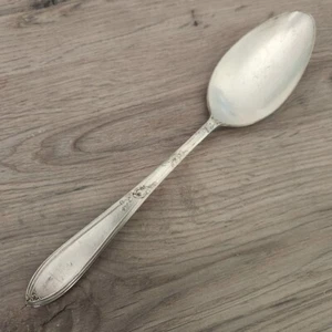 International New England ROSEMARY Silverplate Serving Spoon 1919 8 3/8" - Picture 1 of 7