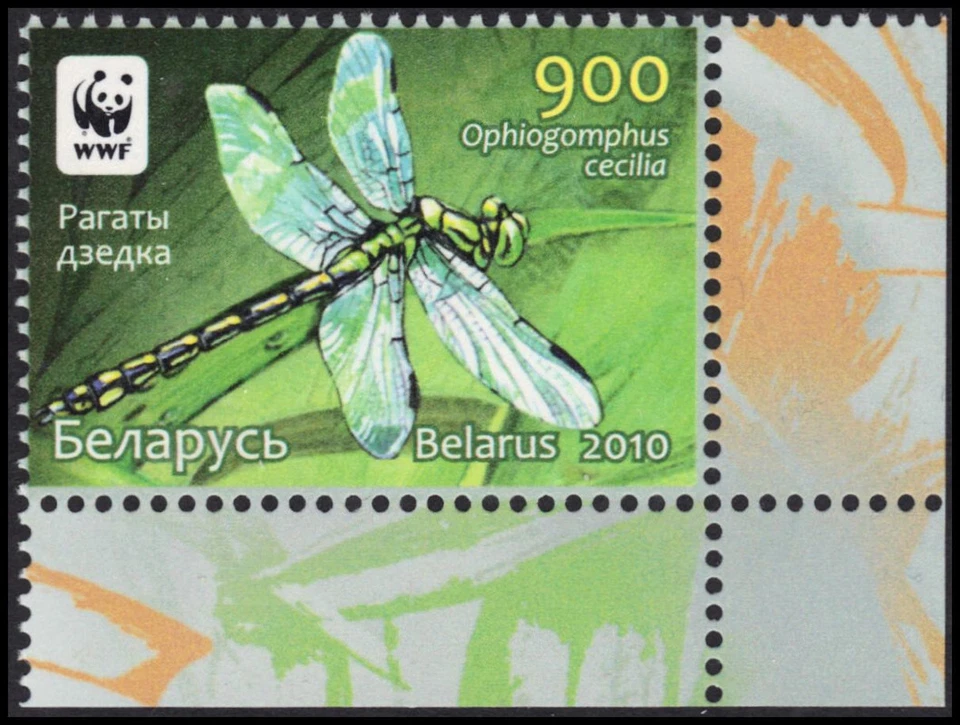 BELARUS 737 - Green Snake-tyail Dragonfly "Ophiogomphus cecilia" (pb86788) - Image 1 of 1
