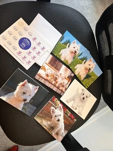 6 Blank All Occasion Cards ~Assorted - Wonderful Westies ~5x4 Cards Envelopes - Picture 1 of 5