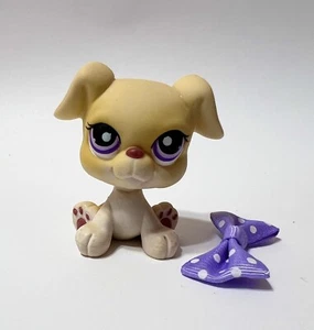 Littlest Pet Shop #451 Boxer Dog - Picture 1 of 3