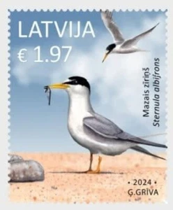 LATVIA 2024 Fauna. Animals. Birds - MNH - Imagen 1 de 1