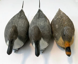 Lot of 3 SPORT PLAST Plastic Duck Mallard Pintail Decoys Made Italy Hunting - Picture 1 of 16