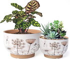 Elm White & Terracotta Ceramic Flower Pots Set - 8" + 6" Inch Succulent Planters