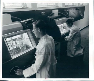 1955 Pressefoto Universität von Michigan Chemie Studenten bei der Arbeit 1950er Jahre - Bild 1 von 2