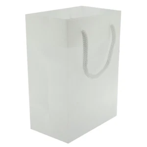 Frosted Plastic White Gift Tote Bag Rope Handle 12 Pack 4.5" x 2.75" x 6.5" - Picture 1 of 3