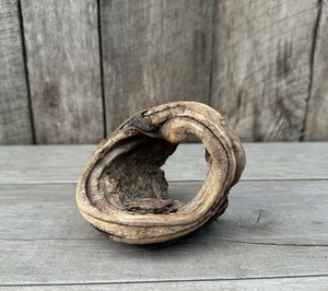 Natural Driftwood Knot Crafts Aquarium Decor Unique Terrarium - Foto 1 di 5