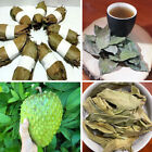 100+ Dried Soursop Leaves / Graviola / Guanabana / Annona Muricata Herbal Drink