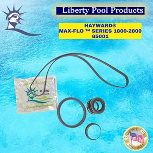 SPX1600TRA passend für Super Pumpe MaxFlo für Serie 1800-2800 für Hayward® - Bild 1 von 1