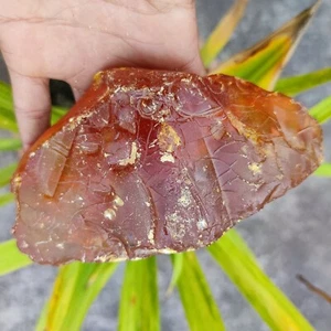 Natural 1525 Ct Dominican Yellow Amber Authentic Caribbean Uncut Rough Gemstone - Picture 1 of 9