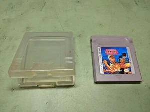 Double Dragon III The Arcade Game Nintendo GameBoy Cartridge Only - Picture 1 of 4