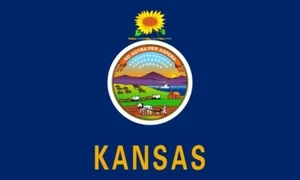 Imán de refrigerador f10 bandera del estado de Kansas ¡BONITO! - Imagen 1 de 1