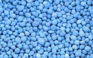 ULTRA NPK FERTILISER BLUE/WHITE GRANULATED NITROPHOSKA SOLUBLE - HIGH GRADE - Picture 1 of 5