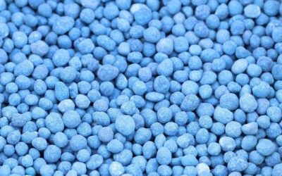 ULTRA NPK FERTILISER BLUE/WHITE GRANULATED NITROPHOSKA SOLUBLE - HIGH GRADE - image 1 of 4